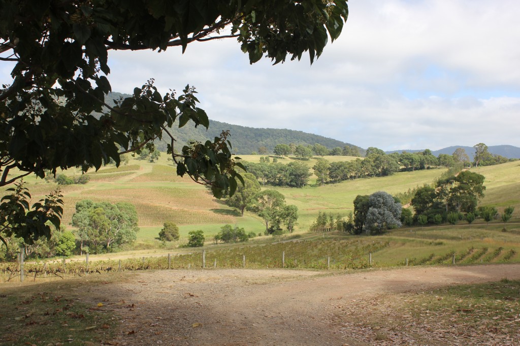 A weekend in the Hunter Valley